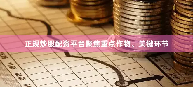 正规炒股配资平台聚焦重点作物、关键环节