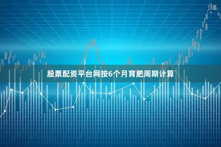 股票配资平台网按6个月育肥周期计算