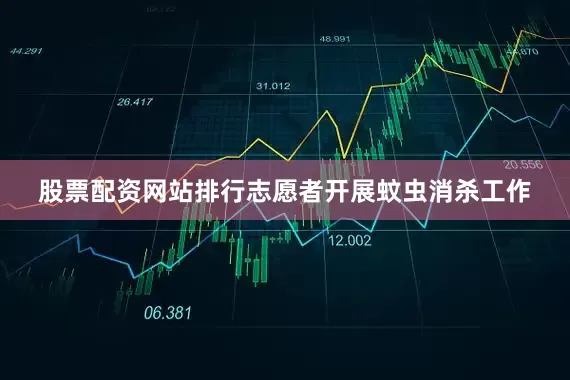 股票配资网站排行志愿者开展蚊虫消杀工作